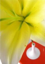 VASO PORTAFIORI Ceramica