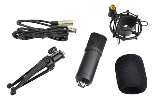 Studio recording microphone - recording,