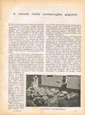 A CACCIA DELLE TARTARUGHE GIGANTI (da rivista "LA LETTURA" di maggio 1903)