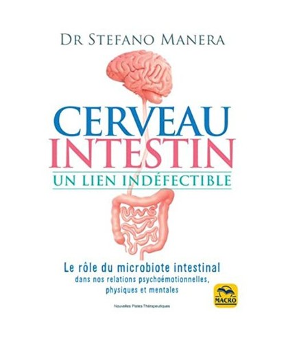 Cerveau intestin un lien - cerveau, intestin.