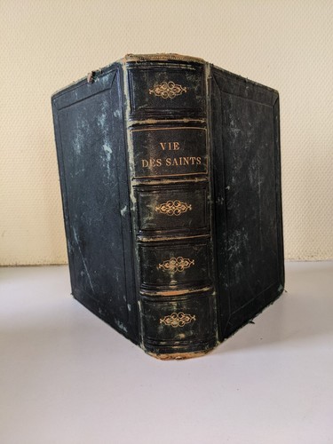 Libro antico ragazzo la - libro,