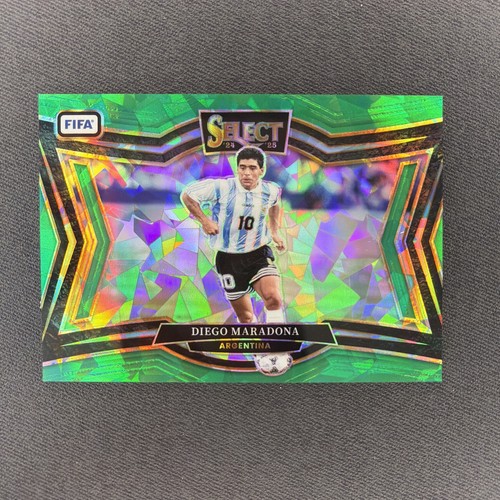 Diego maradona panini fifa - diego,