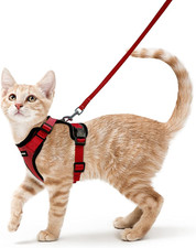 Pettorina Gatto Antifuga Con