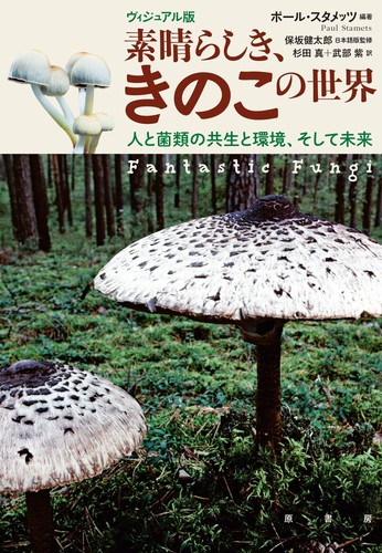 Visual edition the wonderful - visual,