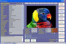 Software CDROM per database di