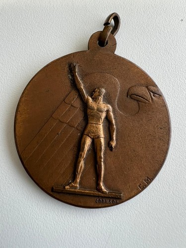 Medaglia bronzo mvsn - medaglia,