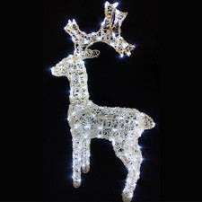 Renna Illuminata per