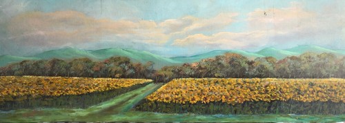 Quadro olio tela campo - quadro,