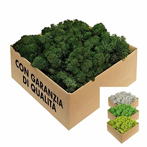 Gjs muschio stabilizzato - gjs,