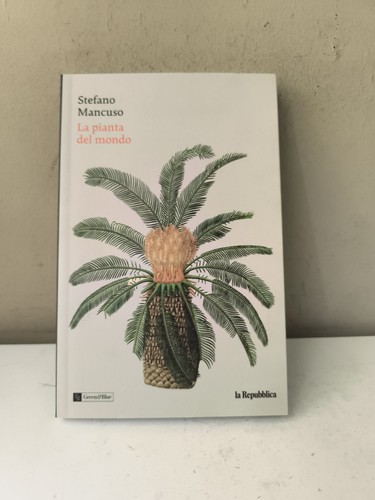 Pianta del mondo stefano - la,