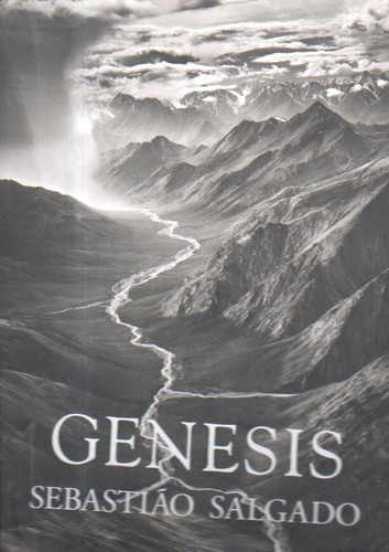 Salgado genesis - (n15562),