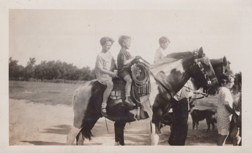 Bambini nebraska pinto cavallo - pinto,