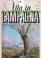 Vita In Campagna 1 - gennaio 1989 anno VII mensile - Actinidia Arguta: Il Kiwi