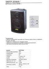 ➤ COPPIA CASSE AMPLIFICATE