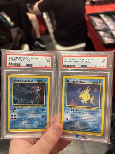 Shining magikarp - magikarp,