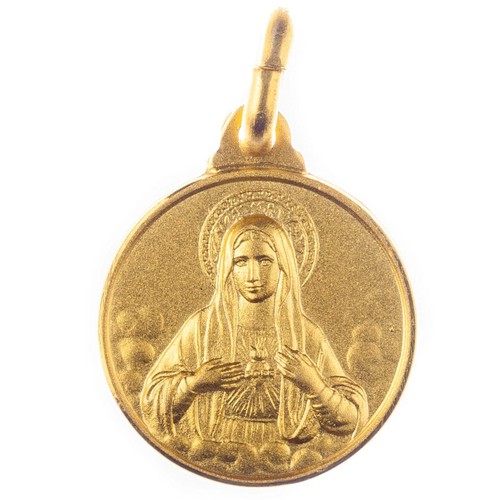 Medaglia argento placcata - medaglia, d'argento