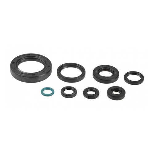 Serie paraoli motore athena - paraoli,