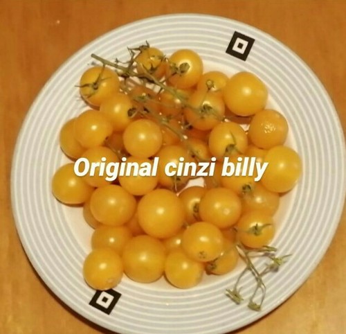 Semi pomodoro cilieggino - 25,