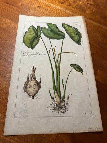 Rare plate decad 5 - rare!,