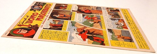 Giornale dell uomo - il,