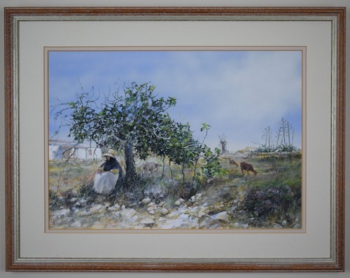 Riposo gregge capre - di, guazzo