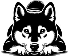 Adesivo SHIBA - adesivo auto