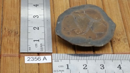Moitié nodule septaria - moitié,