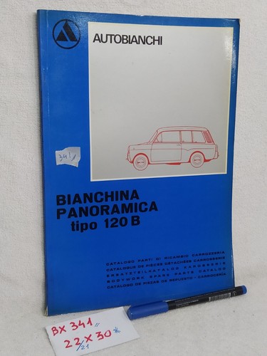 Bianchina panoramica tipo - bianchina,