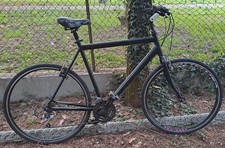 bicicletta da uomo city bike