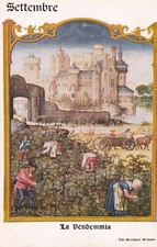 CASE DEL PANE - Breviario Grimani, La Vendemmia, Settembre, Cartolina
