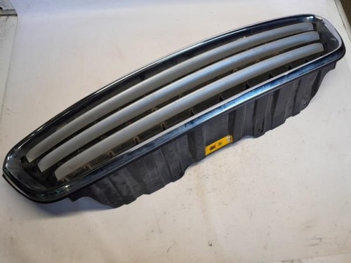 Mini countryman grill 2011 - grill,