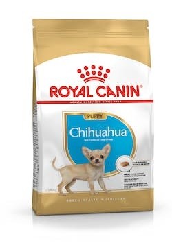 Chihuahua junior 500gr - -,