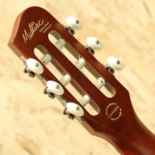 Godin Multiac Nylon Duet