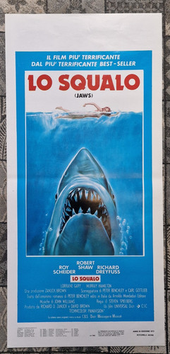 Squalo jaws shark - squalo,