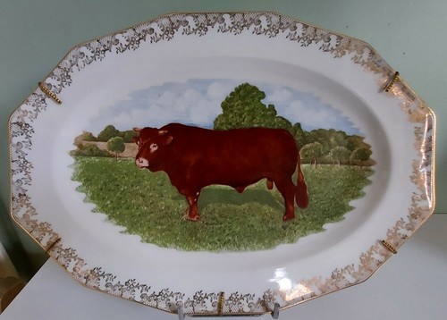 Porcellana limoges piatto - porcellana, di