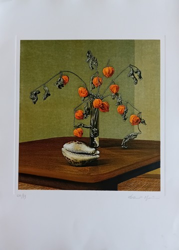 Dario manini 50x70 - cm,