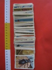 WL ITALIA BLOCCO FIGURINE ANIMALI DEL MONDO + 110 pz 1969 vedi foto see (1)