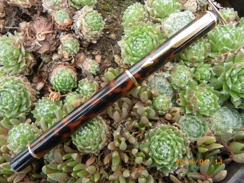 Superbe stylo roller parker - superbe,