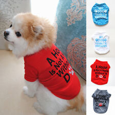 Lettera Per Animali Domestici