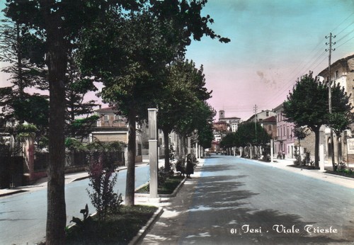 Cartolina jesi ancona viale - jesi,