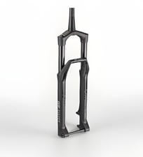 DT SWISS: F535 ONE FORK 29