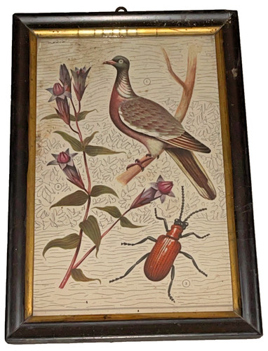 Quadro antico stampa - antico,
