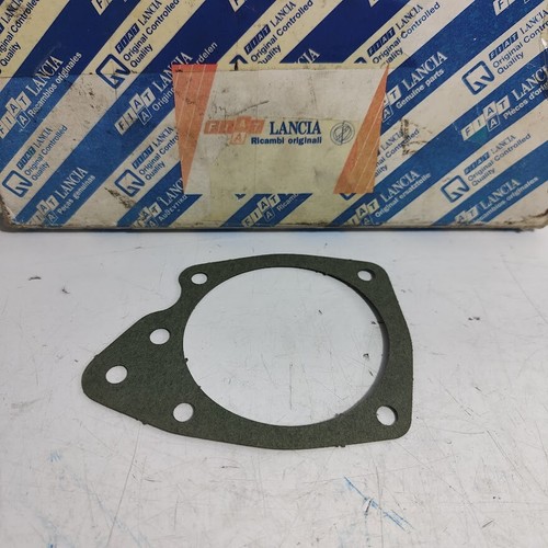 Guarnizione pompa acqua fiat - guarnizione,