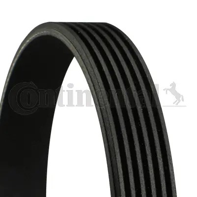 Cinghia adatta per bmw 3 - adatta,