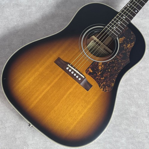 Chitarra elettrica acustica