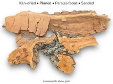 Fetta di legno di salice