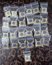 Lotto di 25 spille da bavero New Mexico Special Olympics forze dell'ordine torcia corsa 2000