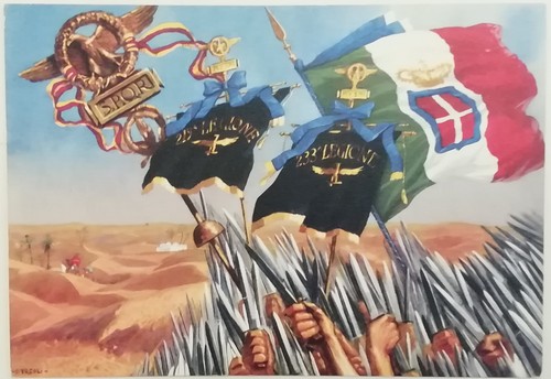 Cartolina divisione ccnn - cartolina, 23