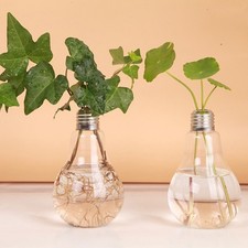 2 Pezzi Lampadina Vetro Vaso
