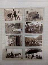 Schede Telefoniche Nuove Serie